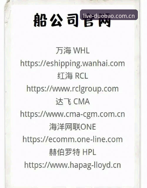 揭秘最新多宝体育登录入口：一次搞定官网、APP下载与投注的实战指南