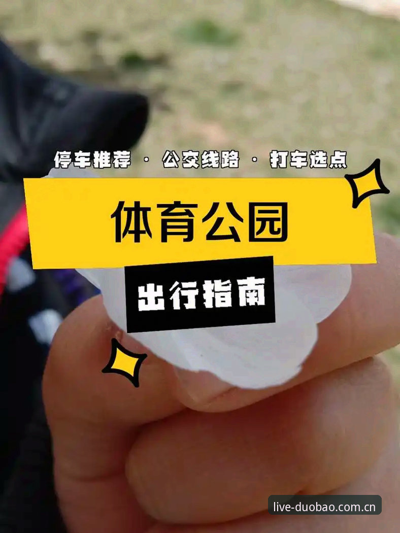 多宝体育官网登录全攻略：从下载到使用的完整指南